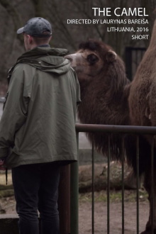 The Camel Trailer