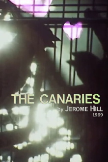 The Canaries Trailer