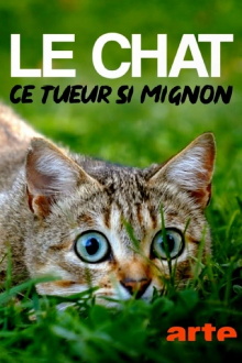 The Cat: A Cuddly Killer Trailer