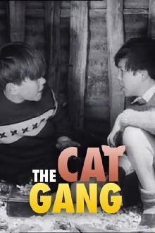 The Cat Gang Trailer