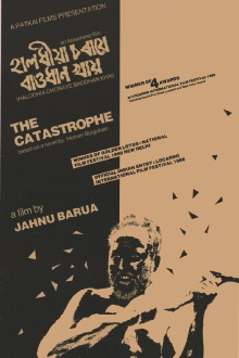 The Catastrophe Trailer
