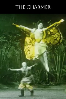 The Charmer Trailer