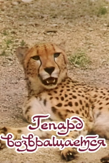 The Cheetah Comes Back Trailer