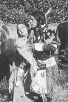 The Cheyenne's Bride Trailer