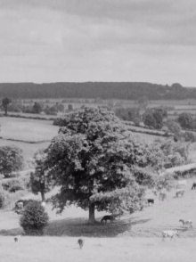 The Chiltern Country Trailer
