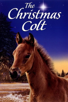 The Christmas Colt Trailer