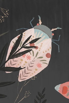 The Cicadae Trailer
