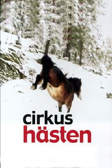 The Circus Horse Trailer