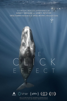 The Click Effect Trailer