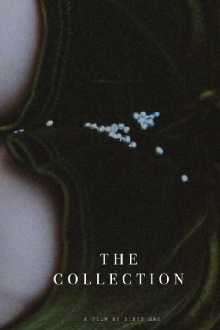 The Collection Trailer