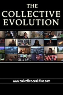 The Collective Evolution Trailer