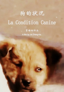 The Condition of Dogs Trailer