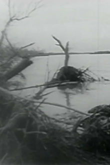The control of water Trailer