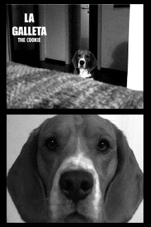The Cookie Trailer