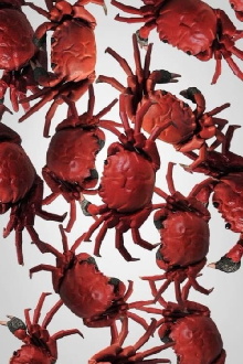 The Crab House Trailer