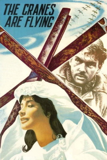 The Cranes Are Flying Trailer