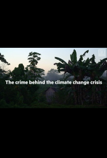 The crime behind the Amazon climate change crisis Trailer