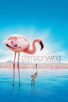 The Crimson Wing: Mystery of the Flamingos Trailer