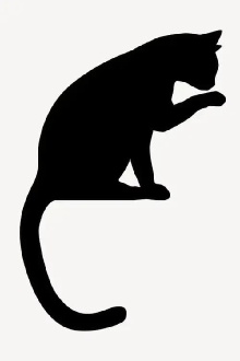 The Crooked Taled Cat Trailer