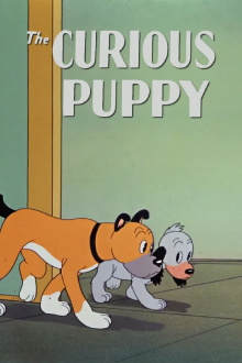 The Curious Puppy Trailer