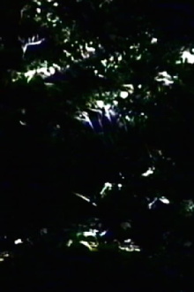 The Darkening Trailer