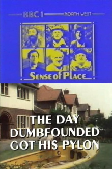 The Day Dumbfounded Got His Pylon Trailer