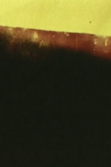 The Distance Between Here and There Trailer