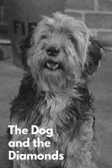 The Dog and the Diamonds Trailer