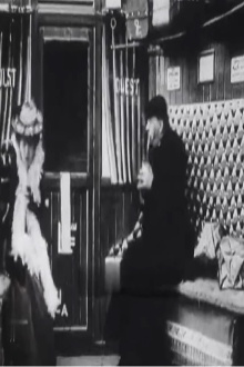 The Dog and the Pipe Trailer