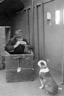 The Dog in the Baggage Car Trailer
