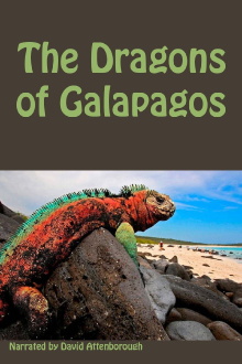 The Dragons of Galapagos Trailer