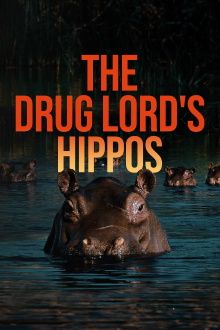 The Drug Lord's Hippos Trailer