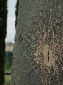 The Dying Soldier of Les Milles Trailer