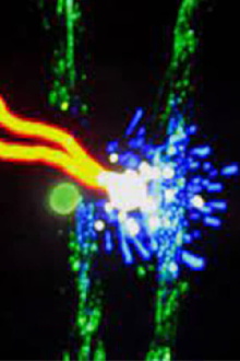 The Element of Light Trailer
