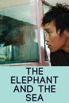 The Elephant and the Sea Trailer