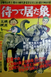 The Elephant Who Waited Trailer