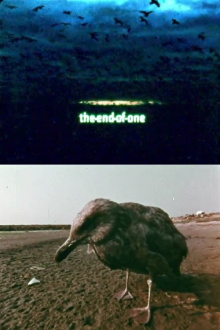 The End of One Trailer