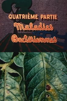 The Enemies of the Potato: Bacterial Diseases Trailer