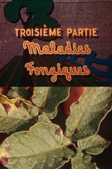 The Enemies of the Potato: Fungal Diseases Trailer