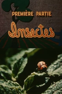 The Enemies of the Potato: Insects Trailer