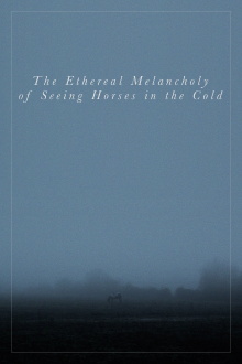The Ethereal Melancholy of Seeing Horses in the Cold Trailer