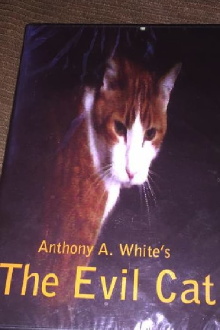 The Evil Cat Trailer