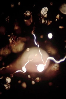 the eyes empty and the pupils burning with rage and desire Trailer