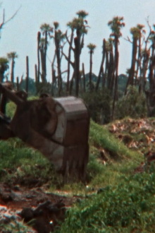 The Fabricated Wild Trailer