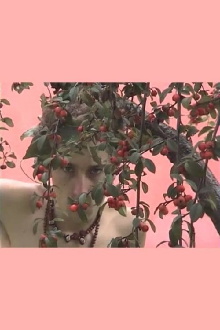 The Faery Garden Trailer