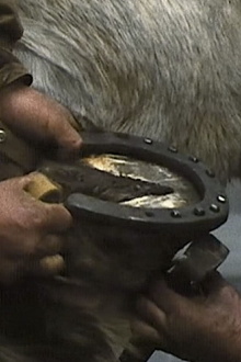 The Farrier Trailer