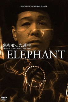 The Fellows Who Ate the Elephant Trailer