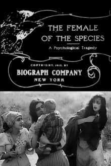 The Female of the Species Trailer