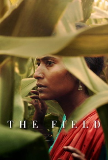 The Field Trailer