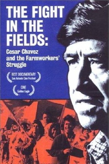 The Fight In The Fields Trailer